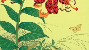 The Dream of Akinosuke butterfly ukiyoe by Koson Ohara
