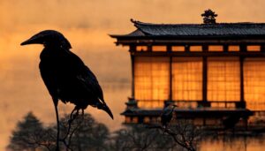 Karasu - Japanese crow