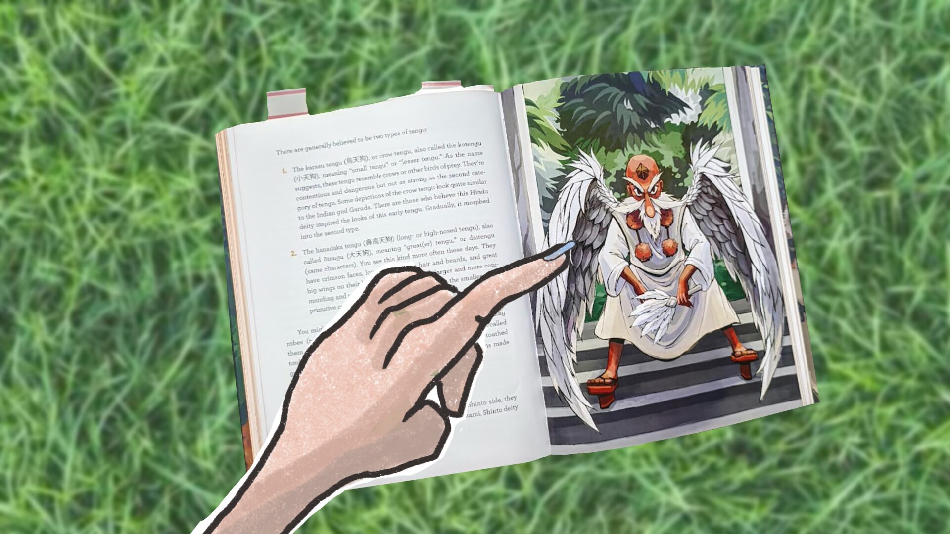 A hand pointing to a page in a book that shows an illustration of a creature with a long nose, wings, and traditional Japanese attire. The background is grass.