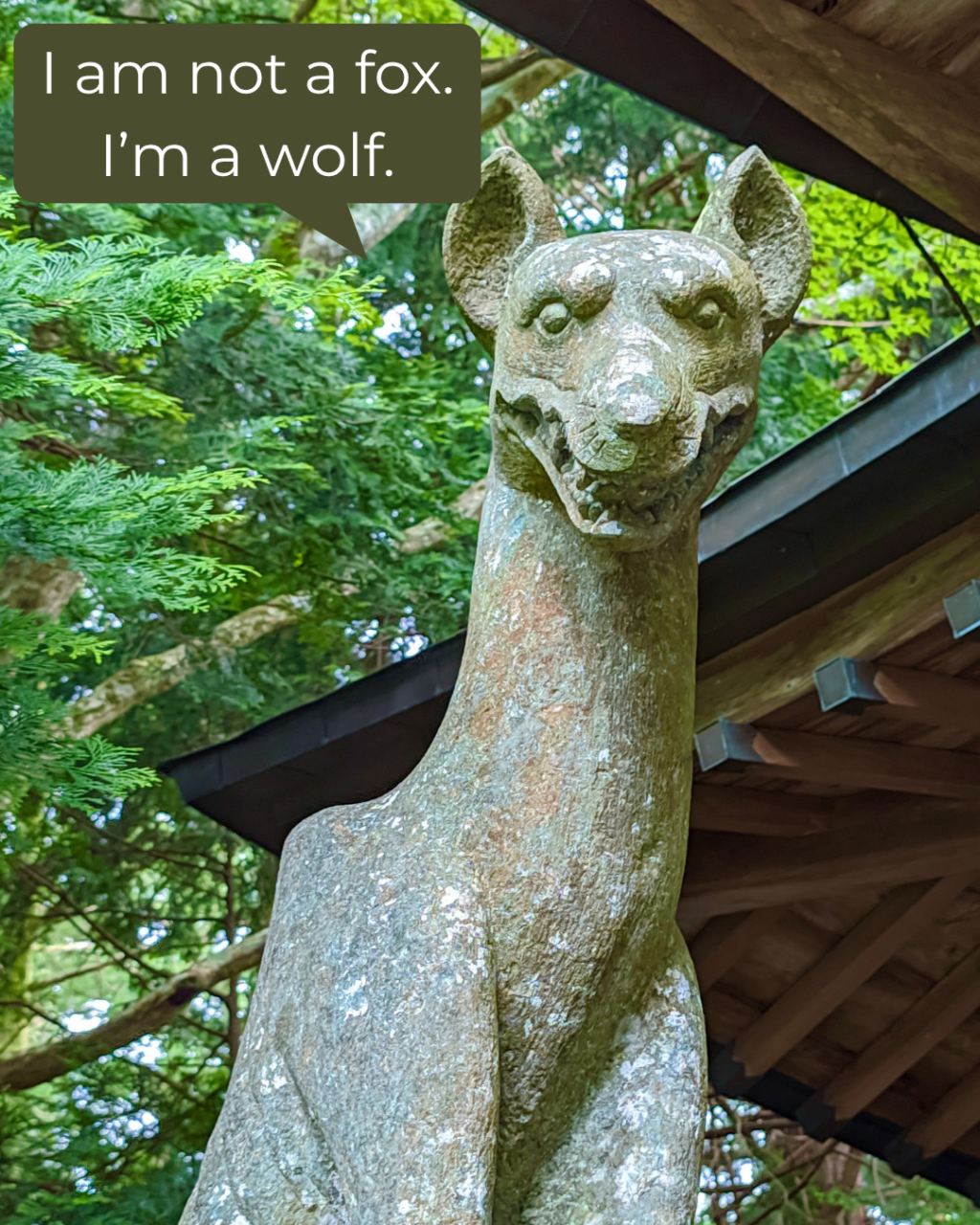 The Lost Wolves of Japan: Gods, Guardians, and Ghosts (Ep. 200) - from the archives 2 not a fox