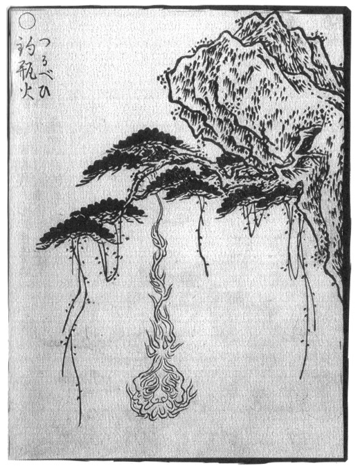 sekientsurubebi