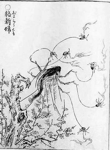 The Dangerous Truth about the Jorō Spider (Ep. 150) 2 Image 2024 06 13 at 20.08